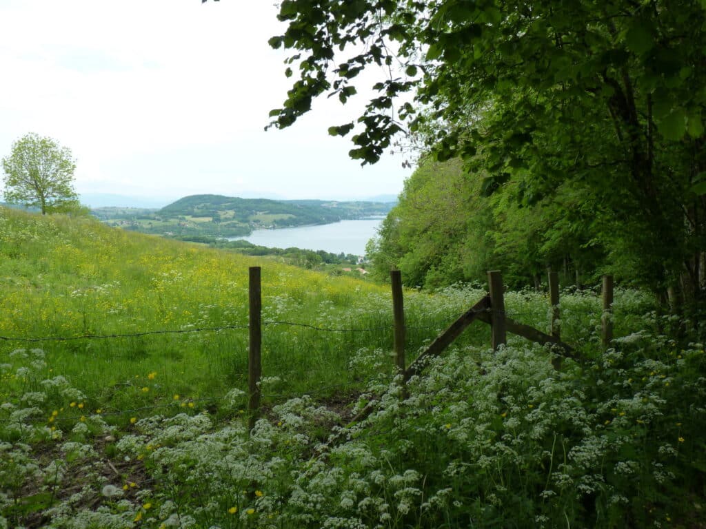 Etangs du Thivoleys ©f.castagna