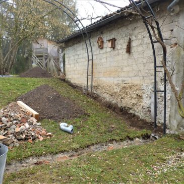 Mais que se passe-t-il dans le parc ?